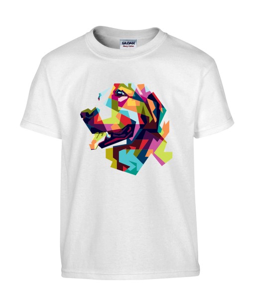 T-shirt Homme Pop Art Chien [Graphique, Animaux, Géométrique, Labrador, Golden Retriever, Abstract, Colorful] T-shirt Manches Courtes, Col Rond